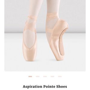 Bloch ballet pointe shoes